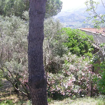 Aparthotel La Chiusa Di Rio Rio nell'Elba